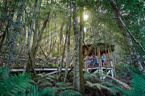 Private Blue Mountains Tour - Accommodation Mount Tamborine 4