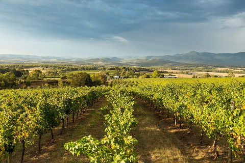 Yarra Valley Local Produce And Wine Tasting Tour - Accommodation Mount Tamborine 3