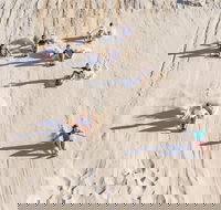 Unlimited Sandboarding - Accommodation Mount Tamborine