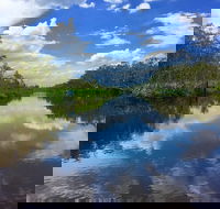 Noosa Everglades Serenity Cruise  Highlights Tour Inc. Lunch  Cruise - Accommodation Mount Tamborine