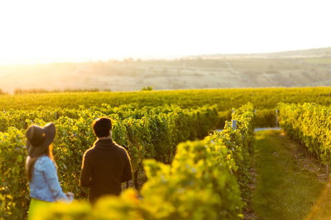 Margaret River Private Tour - Accommodation Mount Tamborine 2