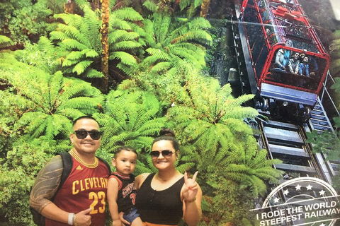 Blue Mountains Private Full-Day Tour From Sydney With Cruise - Accommodation Mount Tamborine 3