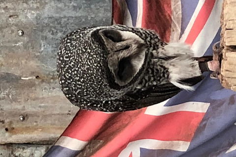 Perth Hills - Wildlife, Art & Gastronomy - Accommodation Mount Tamborine 5