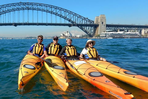 Kayak To Goat Island In Sydney Harbour With Local - Accommodation Mount Tamborine 5