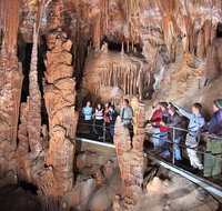 Private Tour Jenolan Caves  Blue Mountains in a day - Accommodation Mount Tamborine
