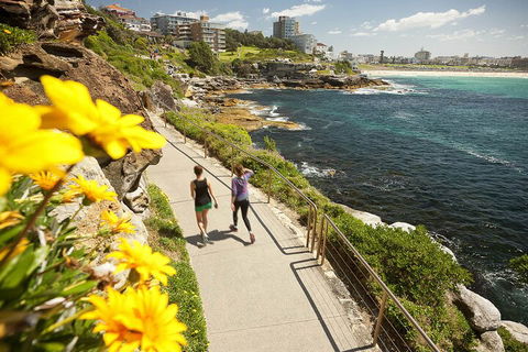 Sydney Uncovered Full-Day Tour - Accommodation Mount Tamborine 1