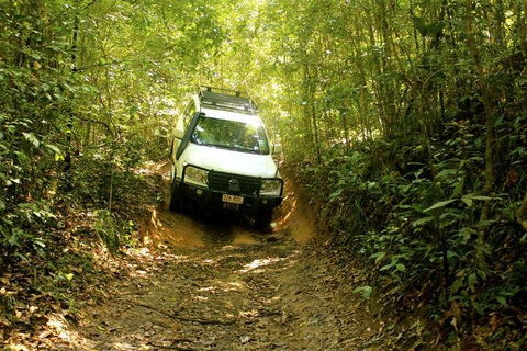 Barron Gorge And Kuranda National Park Half Day Rainforest And Waterfall 4WD Tour From Cairns - Accommodation Mount Tamborine 2