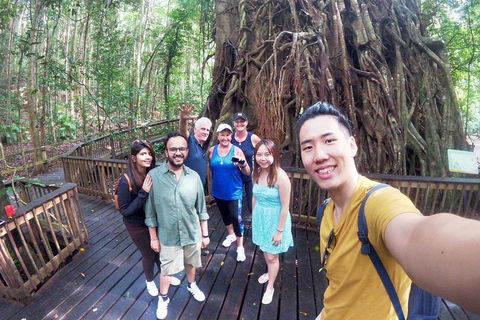Barron Gorge And Kuranda National Park Half Day Rainforest And Waterfall 4WD Tour From Cairns - Accommodation Mount Tamborine 5