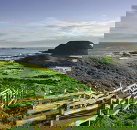 Full-Day Private Australian Wildlife Tour of Phillip Island - Accommodation Mount Tamborine