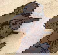 Explore The Rocks Sydney In A Series Of Fun Cryptic Clues - Accommodation Mount Tamborine