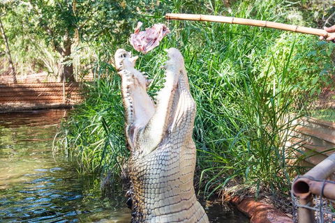 3 In 1 Tour: Matsoâ€™s Brewery, Broome Museum & Malcolm Douglas Crocodile Park - Accommodation Mount Tamborine 3