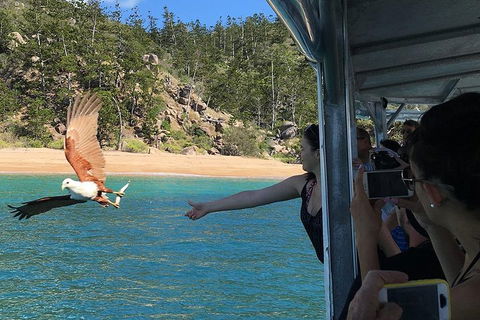 Aquascene Magnetic Island Discovery Tour - Accommodation Mount Tamborine 2