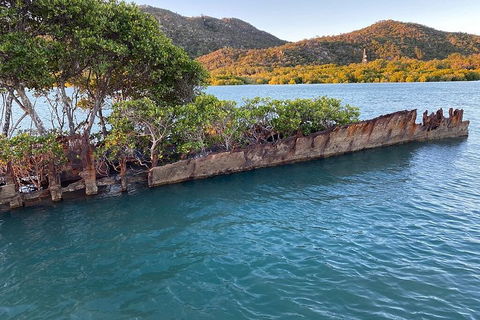 Aquascene Magnetic Island Discovery Tour - Accommodation Mount Tamborine 3