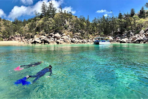 Aquascene Magnetic Island Discovery Tour - Accommodation Mount Tamborine 4
