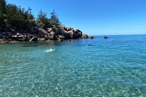 Aquascene Magnetic Island Discovery Tour - Accommodation Mount Tamborine 5