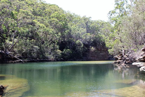 Royal National Park Tour - Accommodation Mount Tamborine 5