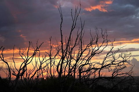 Sydney Harbour, Northern Beaches And National Park - Accommodation Mount Tamborine 4