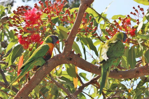 Sydney Harbour, Northern Beaches And National Park - Accommodation Mount Tamborine 5
