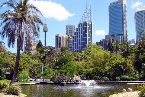 Private Sydney Half Day Tour Including Sydney Opera House And Bondi Beach - Accommodation Mount Tamborine 4