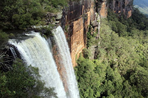 Private Southern Highlands Day Trip From Sydney Including Fitzroy Falls - Accommodation Mount Tamborine 1