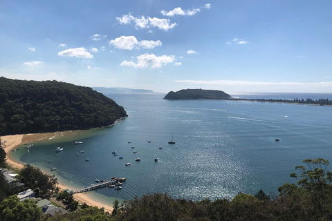 5 Day Kayak Adventure Down Hawkesbury River - Accommodation Mount Tamborine 5