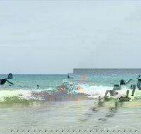 Private Beginners Surf Lessons Noosa World Surf Reserve - Accommodation Mount Tamborine