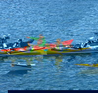 Half-Day Sydney Middle Harbour Guided Kayaking Eco Tour - Accommodation Mount Tamborine