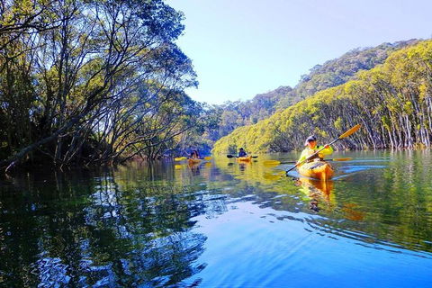 Half-Day Sydney Middle Harbour Guided Kayaking Eco Tour - Accommodation Mount Tamborine 1
