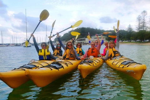 Half-Day Sydney Middle Harbour Guided Kayaking Eco Tour - Accommodation Mount Tamborine 2