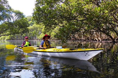 Half-Day Sydney Middle Harbour Guided Kayaking Eco Tour - Accommodation Mount Tamborine 3