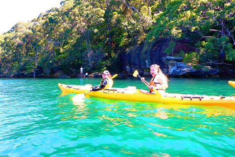 Half-Day Sydney Middle Harbour Guided Kayaking Eco Tour - Accommodation Mount Tamborine 4