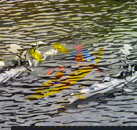Self-Guided Sydney Middle Harbour Kayak 3 Hour Tour by Double Kayak - Accommodation Mount Tamborine