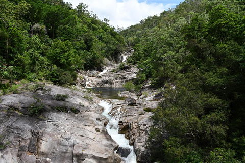 Behana Canyon Rainforest And Waterfall Experience - Accommodation Mount Tamborine 1