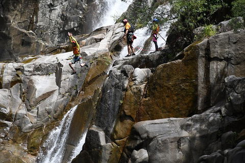 Behana Canyon Rainforest And Waterfall Experience - Accommodation Mount Tamborine 2