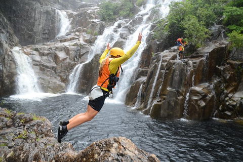 Behana Canyon Rainforest And Waterfall Experience - Accommodation Mount Tamborine 3