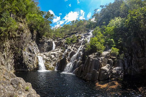 Behana Canyon Rainforest And Waterfall Experience - Accommodation Mount Tamborine 5