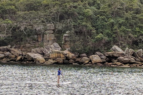 Manly & Sydney's Northern Beaches With 'Personalised Sydney Tours' - Accommodation Mount Tamborine 3