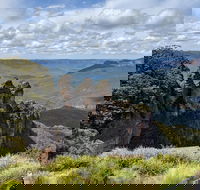 Blue Mountains Private Tour - wild kangaroos waterfalls and The Three Sisters - Accommodation Mount Tamborine