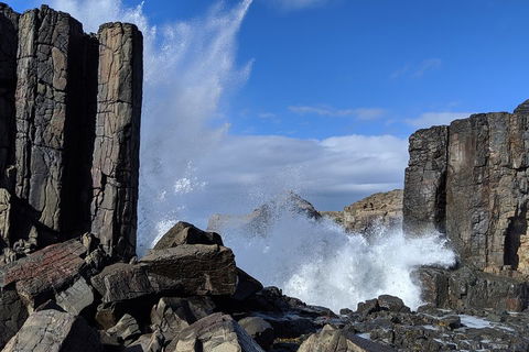 Erupting Blowholes And Ancient Rainforests With 'Personalised Sydney Tours' - Accommodation Mount Tamborine 0