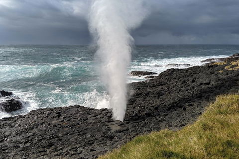 Erupting Blowholes And Ancient Rainforests With 'Personalised Sydney Tours' - Accommodation Mount Tamborine 1