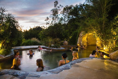 Peninsula Hot Springs & Wine Tasting - Day Tour - Accommodation Mount Tamborine 3