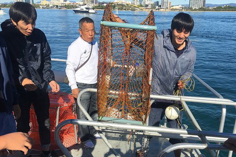 Crab Trip From Gold Coast - Accommodation Mount Tamborine 1