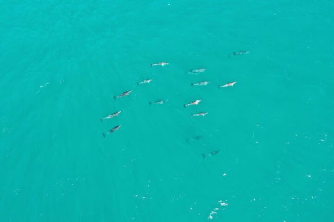 Port Macquarie Hastings Explorer - 30 Min VIP Private Flight - Accommodation Mount Tamborine 4