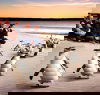 Private Tour Penguin Parade Phillip Island Tour. - Accommodation Mount Tamborine