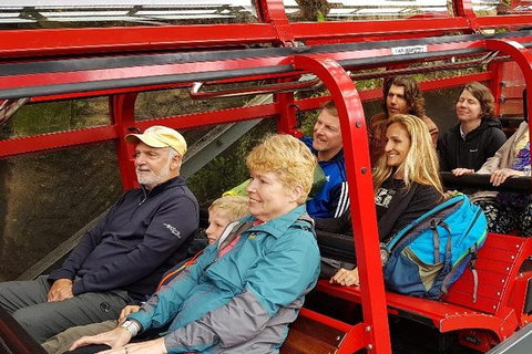Blue Mountains Ultimate One-Day Tour - Accommodation Mount Tamborine 0