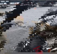 Harley Davidson Bike  Trike Tour Rides - Accommodation Mount Tamborine