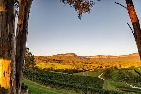 Taste Of The Blue Mountains - Lunch & Wine Tasting, Beer, Cider & Gin Tasting - Accommodation Mount Tamborine 1