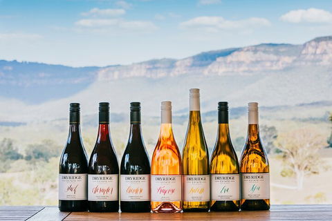 Taste Of The Blue Mountains - Lunch & Wine Tasting, Beer, Cider & Gin Tasting - Accommodation Mount Tamborine 3