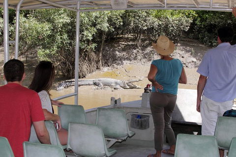 Whitsunday Crocodile Safari Including Lunch - Accommodation Mount Tamborine 4
