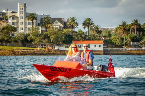 Sydney Speed Boat Adventure Harbour Tour - Accommodation Mount Tamborine 4